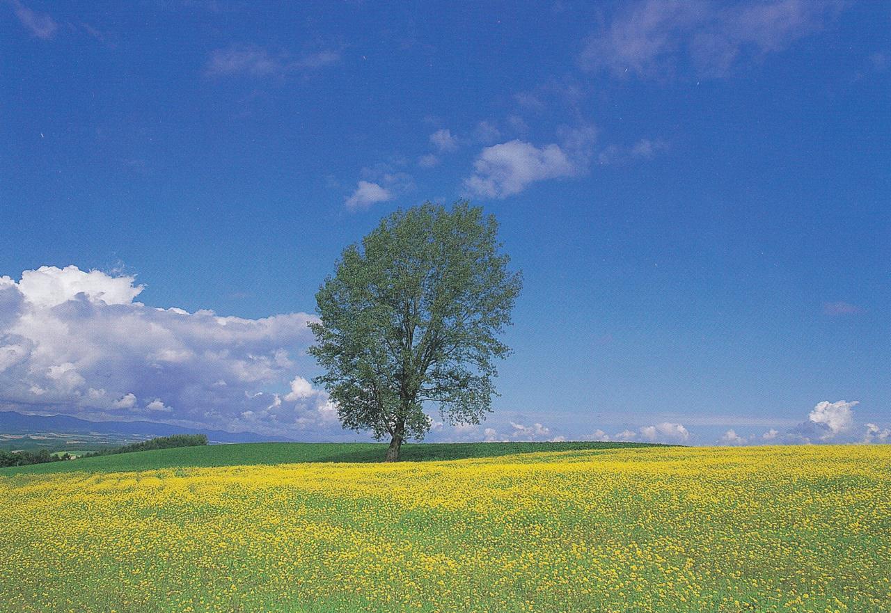 Furano La Terre Nakafurano Exterior foto